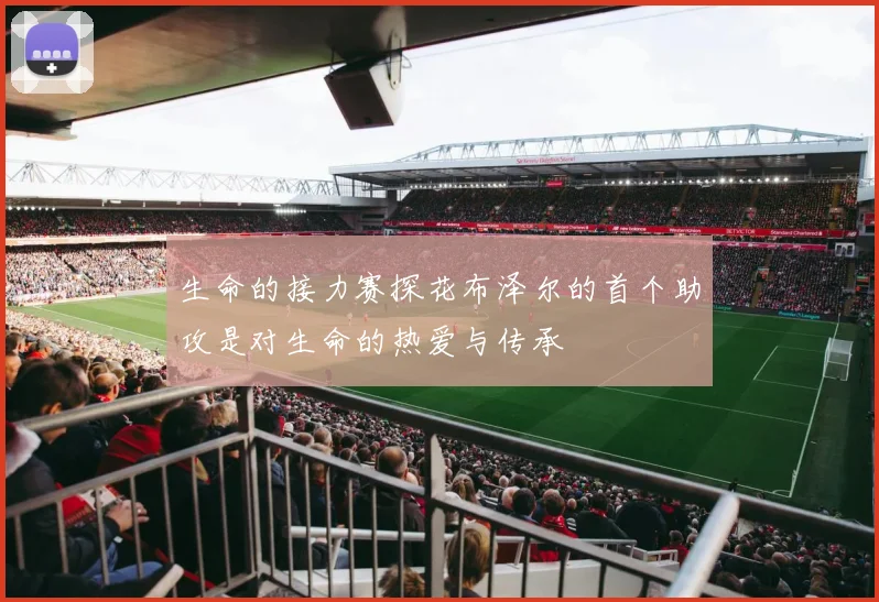 生命的接力赛探花布泽尔的首个助攻是对生命的热爱与传承