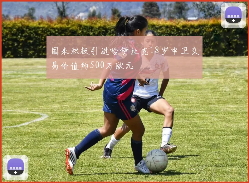 国米积极引进哈伊杜克18岁中卫交易价值约500万欧元